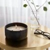 16oz Blackened Bowl Ceramic With Multi Woodwick And Dustcover Honeycrisp Apple Cider Candle Black - Threshold™ -Threshold Shop GUEST 662061c0 e2e1 4e99 845a eed1af354814