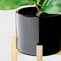 8" Fiddle Leaf Arrangement - Threshold™ -Threshold Shop GUEST 78c53f99 a082 4f19 9aec 00c0f2462c6f