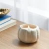 12oz Brushed Abstract Pumpkin Ceramic With Woodwick And Dustcover Dried Leaves + Hickory Candle - Threshold™ 2 12oz Brushed Abstract Pumpkin Ceramic With Woodwick And Dustcover Dried Leaves + Hickory Candle - Threshold™ -Threshold Shop GUEST 7d91ce14 7ba3 41b6 a71f 038ed8099dba