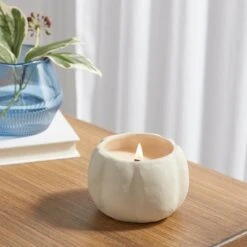 12oz Brushed Abstract Pumpkin Ceramic With Woodwick And Dustcover Warm Cider + Cinnamon Candle - Threshold™