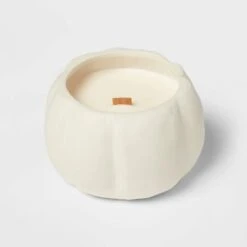 12oz Brushed Abstract Pumpkin Ceramic With Woodwick And Dustcover Dried Leaves + Hickory Candle - Threshold™ 8 12oz Brushed Abstract Pumpkin Ceramic With Woodwick And Dustcover Dried Leaves + Hickory Candle - Threshold™ -Threshold Shop GUEST ca336cab 30a9 4816 a86c a9481933e877
